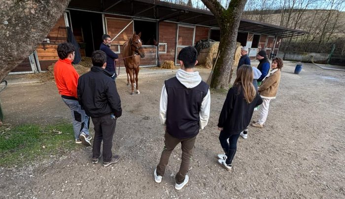 "Rapporto uomo-cavallo" il comune di Siena affianca l'Istituto Ricasoli mettendo a disposizione Pian delle Fornaci