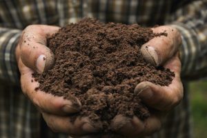 Il progetto del Distretto biologico della Valdelsa si presenta a cittadini e aziende