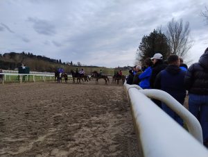 Siena, giornata di corse a Pian delle Fornaci