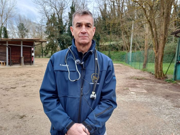 Pre visite cavalli da Palio, fine delle polemiche sulle misure