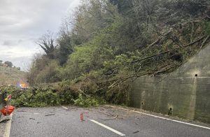 Albero caduto sulla carreggiata, Siena-Firenze chiusa a San Casciano Val di Pesa, direzione nord
