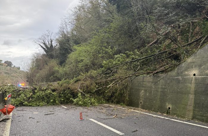 Albero caduto sulla carreggiata, Siena-Firenze chiusa a San Casciano Val di Pesa, direzione nord