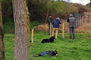 Poggibonsi, ecco l’area sgambamento cani a Bellavista