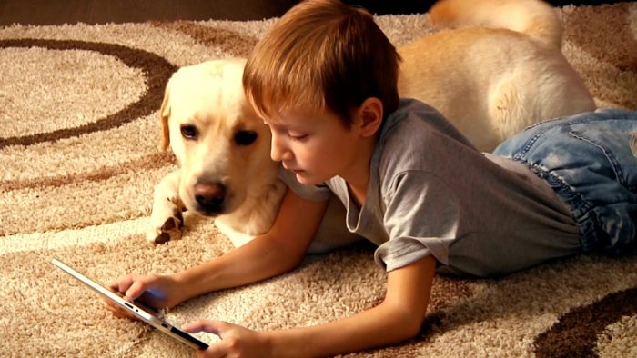 Pediatri e veterinari: "Cani e bambini non vanno mai lasciati soli, senza supervisione"