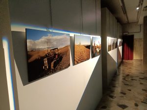 Serre di Rapolano, inaugurata la mostra "Incanto e fatica nelle Crete Senesi", omaggio al paesaggio e alla mezzadria