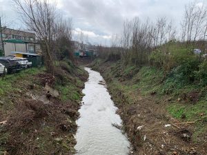 Siena, pulizia del torrente Tressa: volontari in azione per l&rsquo;ambiente
