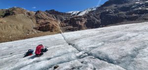 Università di Siena, pubblicato il primo studio sulla biodiversità e l’ecologia delle “pulci dei ghiacciai”