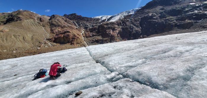 Università di Siena, pubblicato il primo studio sulla biodiversità e l’ecologia delle “pulci dei ghiacciai”