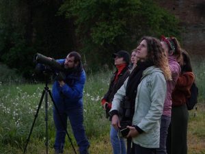 BioBlitz Siena 2025 nella Valle di Porta Giustizia il 26 e 27 aprile