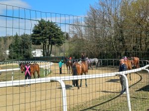 Corse di addestramento a Monticiano, minuto di raccoglimento per ricordare Marco Salvadori