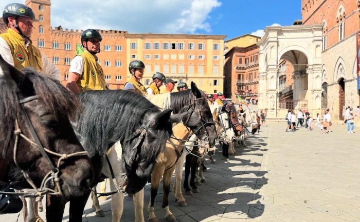 Siena, Piazza del Campo accoglie i cavalli e cavalieri dell'Equiraduno del Giubileo 2025