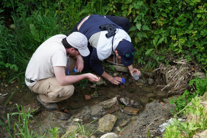 Siena nei primi 5 posti in Italia nella gara mondiale &ldquo;City Nature Challenge&rdquo;