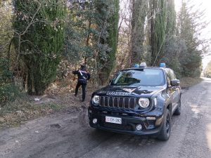 Siena, smantellate dai carabinieri piazze di spaccio nei boschi della provincia