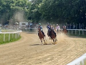 Protocollo Equino, il programma dei lavori di addestramento a Monticiano di marted&igrave; 7 aprile
