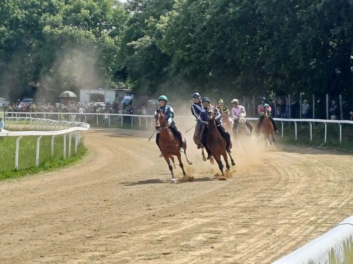 Protocollo Equino, il programma dei lavori di addestramento a Monticiano di marted&igrave; 7 aprile