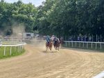 Palio di Siena, annullate causa maltempo le corse di oggi a Monticiano
