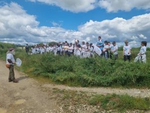 Buonconvento: grazie ad "Argini Fioriti" ora le api popolano le sponde dell'Ombrone