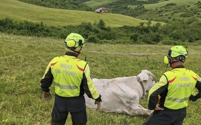 San Casciano Bagni: bovino cade in un dirupo, intervengono i Vigili del Fuoco