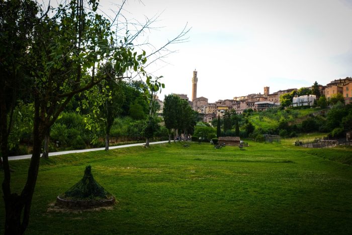 Siena: Piano del Verde comunale e biodiversità, la Giunta approva due delibere