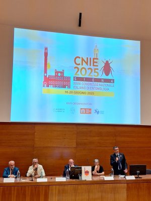Scienziati a confronto sulla biologia degli insetti. A Siena il XXVIII Congresso Nazionale di Entomologia