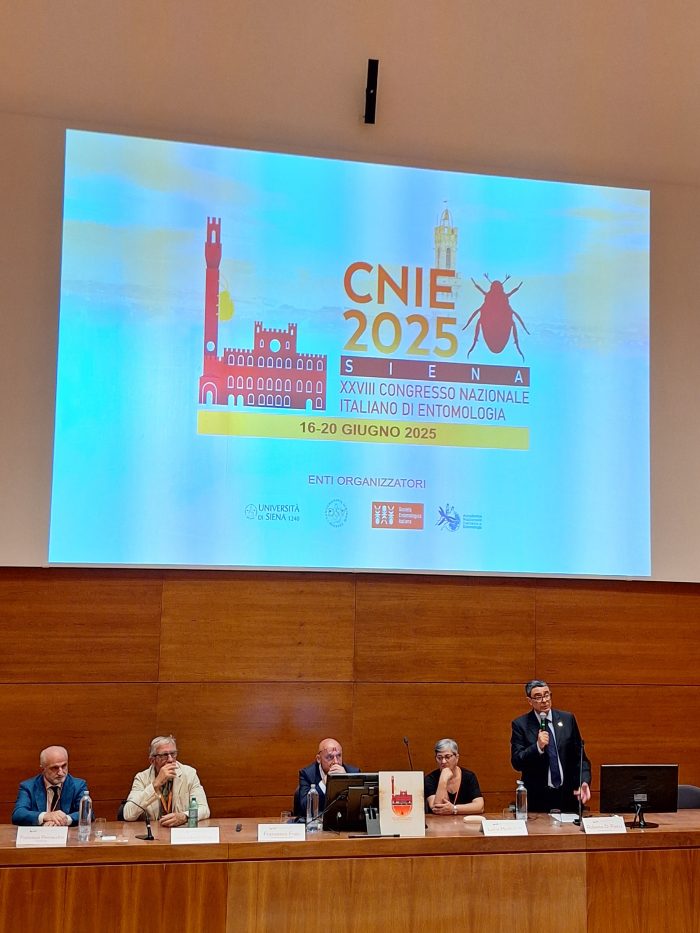 Scienziati a confronto sulla biologia degli insetti. A Siena il XXVIII Congresso Nazionale di Entomologia