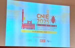 Scienziati a confronto sulla biologia degli insetti. A Siena il XXVIII Congresso Nazionale di Entomologia