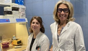 Università di Siena, al via il progetto NACOBI. Nanocellulosa per la conservazione di beni di interesse storico-culturale