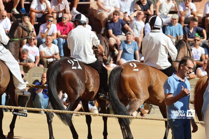 Palio 2 luglio: sono 101 i cavalli ammessi alle prove regolamentate, 5 direttamente alla Tratta