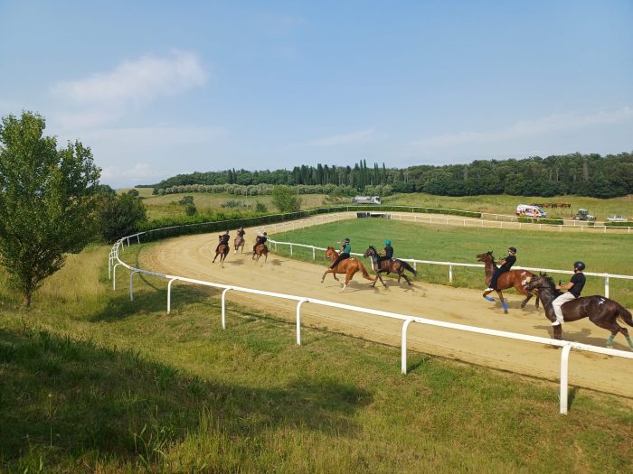 Palio: Mociano tra cavalli, capitani e strategie