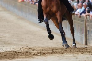 Palio 2 luglio 2025, sono 35 i cavalli ammessi alla Tratta: non c'è Ungaros