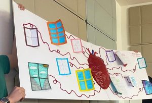 Cultura della donazione di organi, due giornate e 11 istituti scolastici coinvolti su tutto il territorio Asl Tse