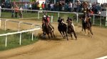 Palio di Siena, ultimi lavori di addestramento a Mociano