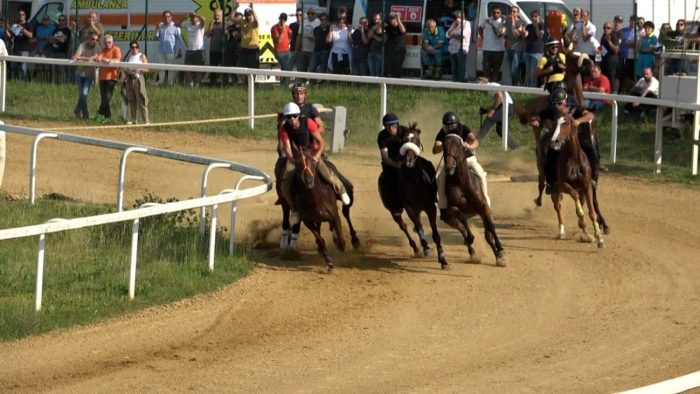 Palio di Siena, il programma dei lavori di addestramento a Mociano