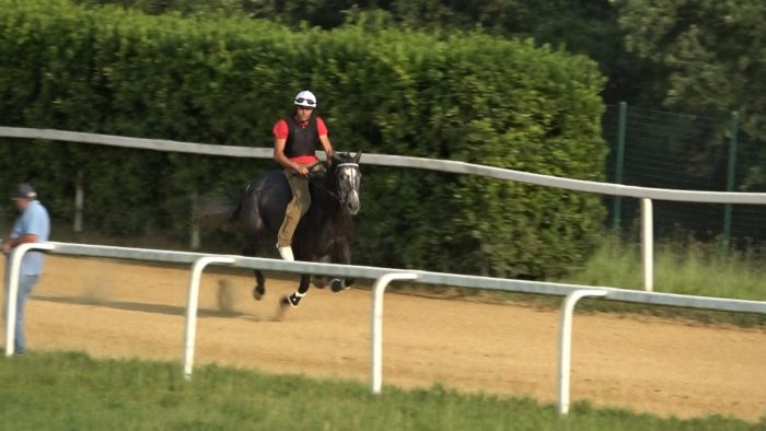 Protocollo Equino, il programma dei lavori di addestramento a Mociano