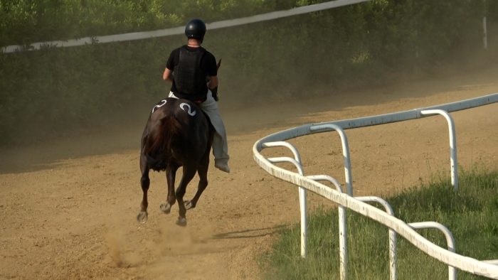 Palio, protocollo equino 2026: primo incontro tra sindaco e capitani