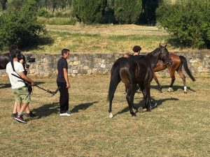 "Come si diventa fantini", le telecamere seguono Tittia alla clinica del Ceppo