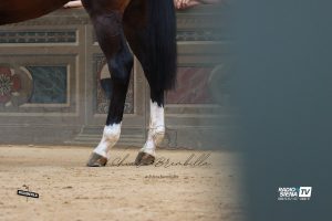 Rinnovato l’accordo Rcs-Opera Laboratori, lo streaming del Palio anche sulle emittenti locali