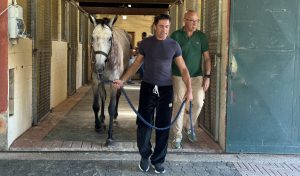 Palio, Scompiglio al Ceppo: "Il rapporto con l'Istrice non è una ripicca. Ho sempre portato rispetto, ma deve essere reciproco"