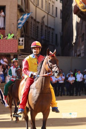 Palio di Siena 3 luglio, Carburo: "Al primo San Martino mi hanno galoppato addosso, ho perso i ferri e la corsa &egrave; finita l&igrave;"