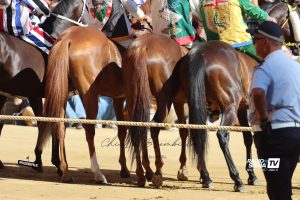 Palio, ripreso il lavoro della commissione per la revisione del Regolamento: al centro la giustizia paliesca