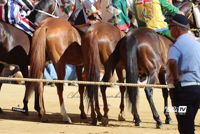 Palio, ripreso il lavoro della commissione per la revisione del Regolamento: al centro la giustizia paliesca