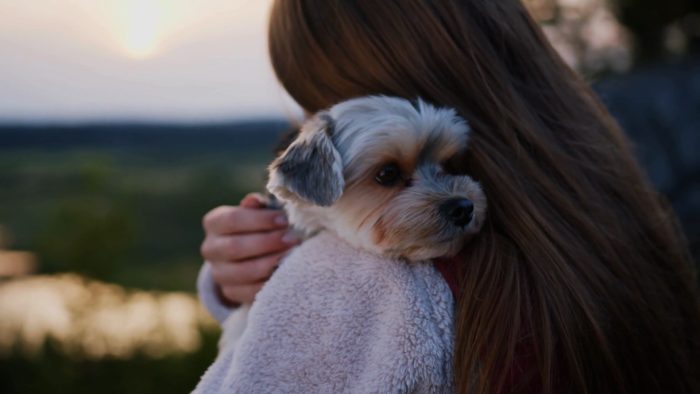 Regione Toscana, sì alla sepoltura con l'animale domestico: "Un legame che dura oltre la vita"