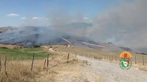Vasto incendio a Sarteano: in fiamme sterpaglie, macchie e bosco