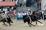 Palio di Siena: contestazioni per le carriere del 2025 a Tartuca e Drago e ai fantini Carburo, Brigante e Tempesta