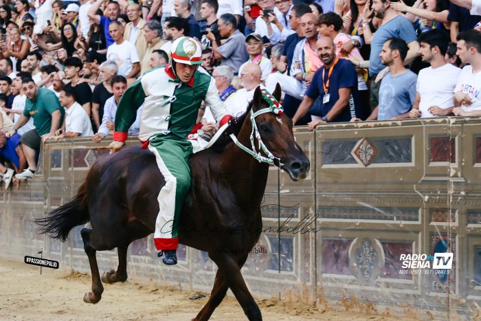 Palio di Siena, il programma dei festeggiamenti della Nobile Contrada dell'Oca