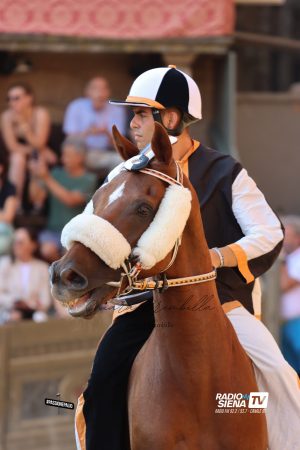 Palio di Siena, Shardana: "Se non fossi caduto, il Palio sarebbe cambiato. La testa ce l'ho e la uso"