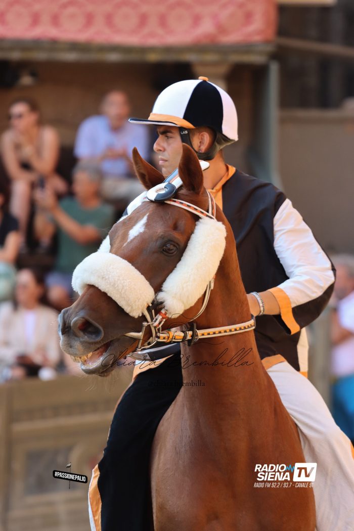 Palio di Siena, Shardana: "Se non fossi caduto, il Palio sarebbe cambiato. La testa ce l'ho e la uso"