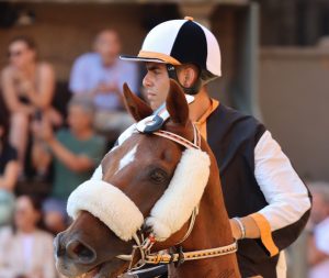 Palio di Siena, Shardana: "Se non fossi caduto, il Palio sarebbe cambiato. La testa ce l'ho e la uso"
