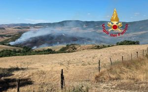 Incendio divampa a Radicofani, brucia bosco e vegetazione