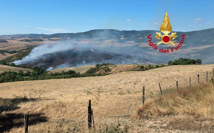 Incendio divampa a Radicofani, brucia bosco e vegetazione